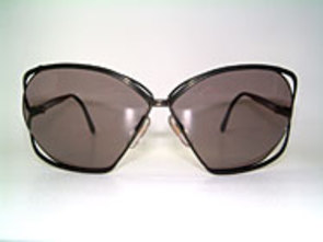 Christian Dior 2499 Large Details
