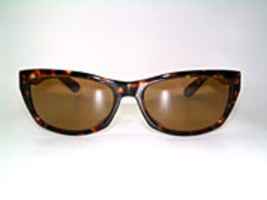 Ray Ban Innerview Details