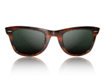 Ray Ban Wayfarer Ray Ban Wayfarer