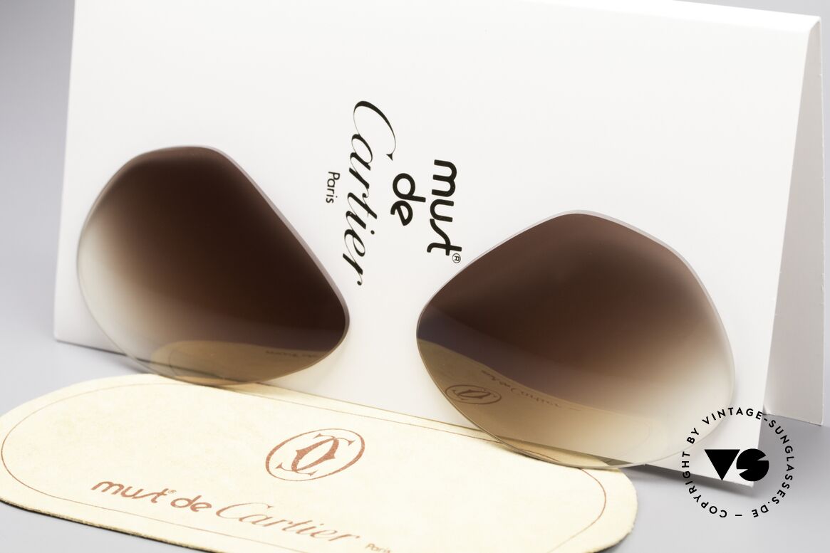 Cartier Vendome Lenses - L Sonnengläser Braun Verlauf, neue CR39 UV400 Kunststoff-Gläser (100% UV Schutz), Passend für Herren