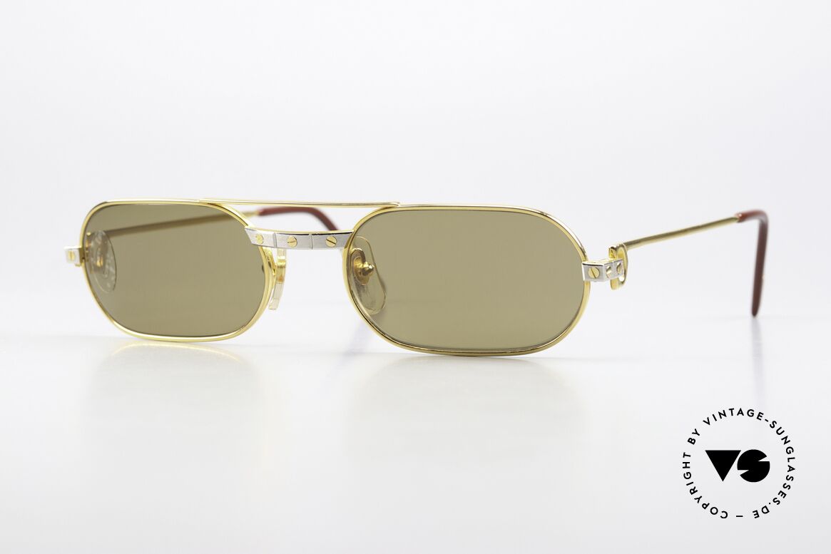 Cartier MUST Santos - M Elton John 80er Sonnenbrille, MUST: das erste Modell der Lunettes Collection '83, Passend für Herren
