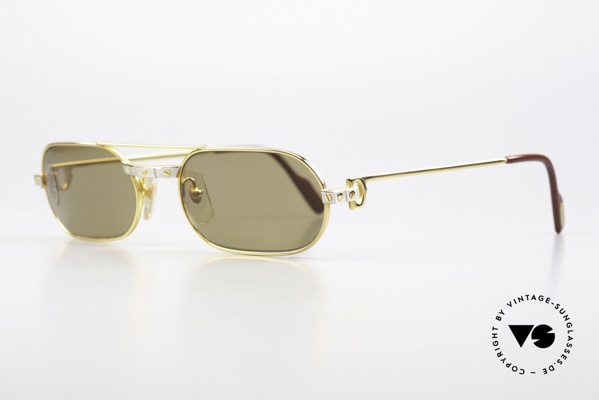 Cartier MUST Santos - M Elton John 80er Sonnenbrille, getragen von Elton John (Video "I'm still standing"), Passend für Herren