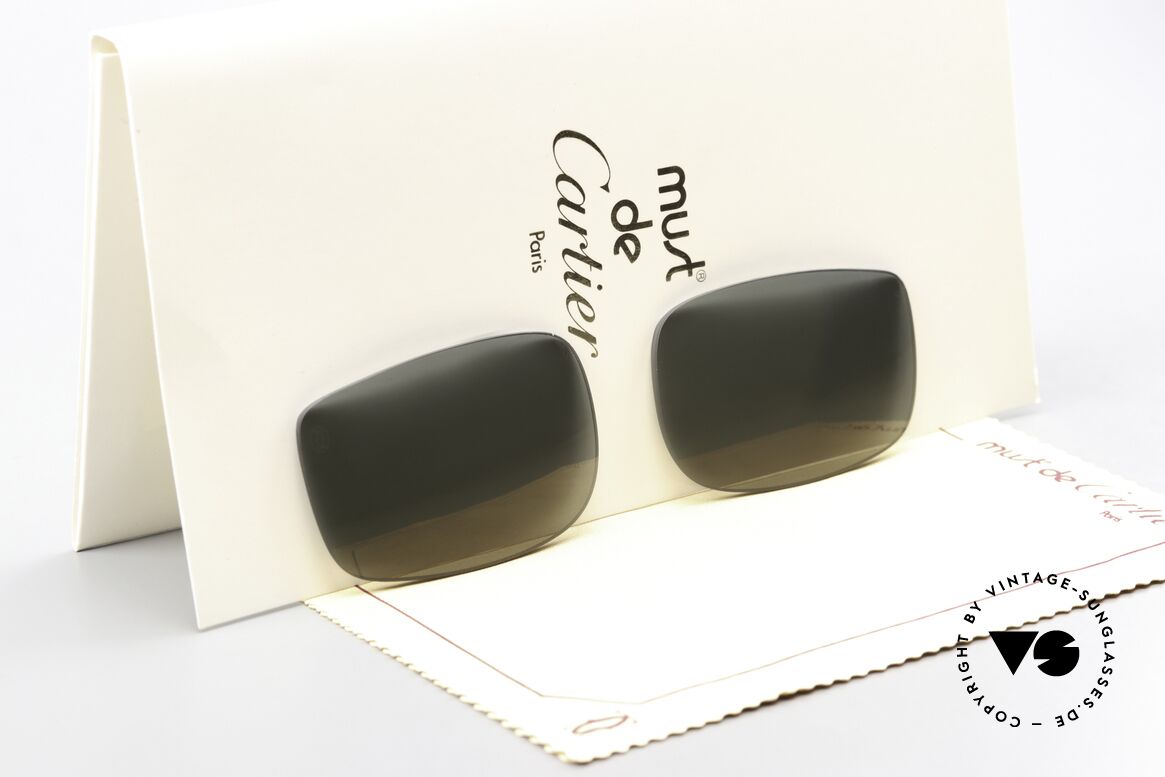 Cartier Vertigo Lenses Original Gläser 54mm Size, original Cartier Sonnengläser für Vertigo Gr. 54mm, Passend für Herren und Damen