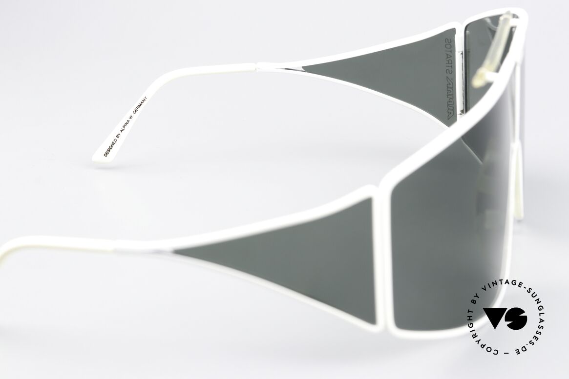 Alpina Stratos Polarisierende Vintage Brille, Größe: medium, Passend für Herren