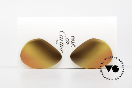 Cartier Vendome Lenses - L 3fach Verlauf Wüstensonne Details