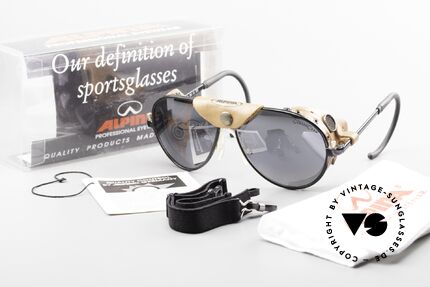 Alpina Ice Extreme Gletscherbrille Skibrille 90er, Größe: medium, Passend für Herren und Damen