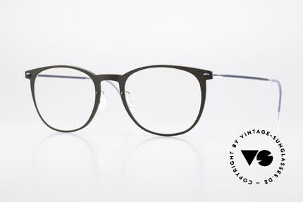 Lindberg 6529 51 NOW Braungrau Und Dunkelblau Details