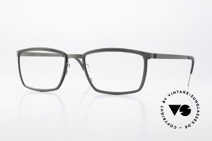 Lindberg 9711 Strip Titanium Zeitlose Farbkombination Details