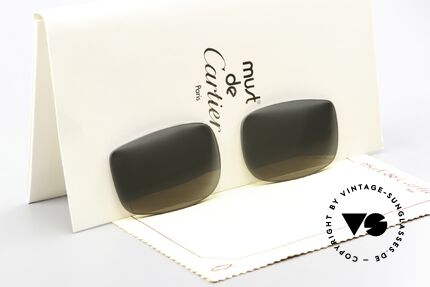 Cartier Vertigo Lenses Original Gläser 54mm Size Details