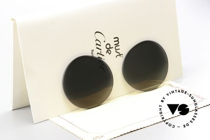 Cartier Diabolo Lenses Original Gläser 53mm Size Details