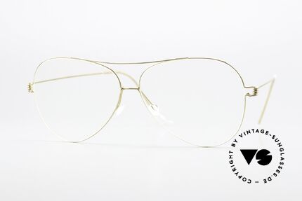 Lindberg Elvis Air Titan Rim Aviator Style Modifiziert Details